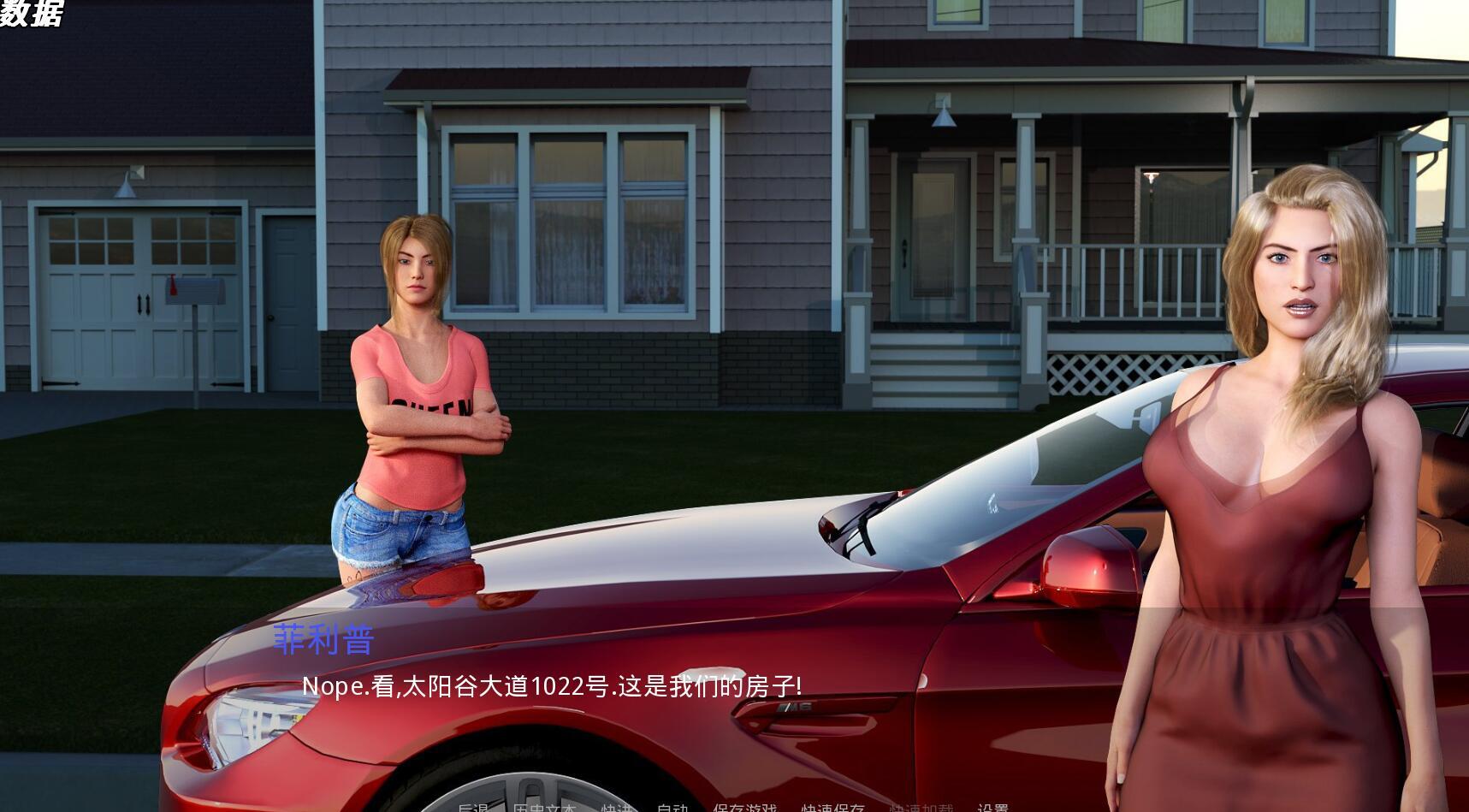 文化冲击(困惑) |PC+安卓|汉化版|Culture Shock