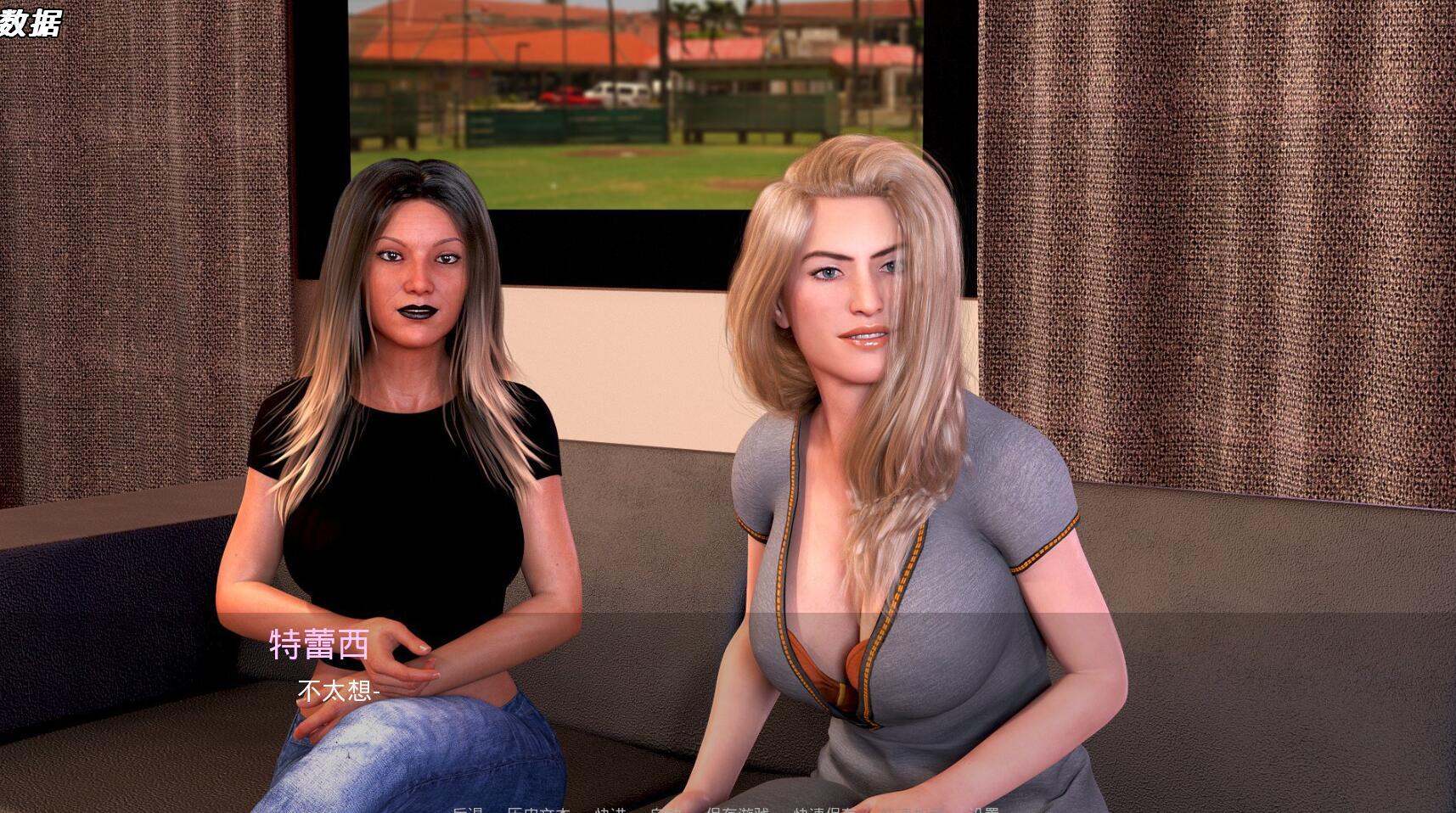 文化冲击(困惑) |PC+安卓|汉化版|Culture Shock