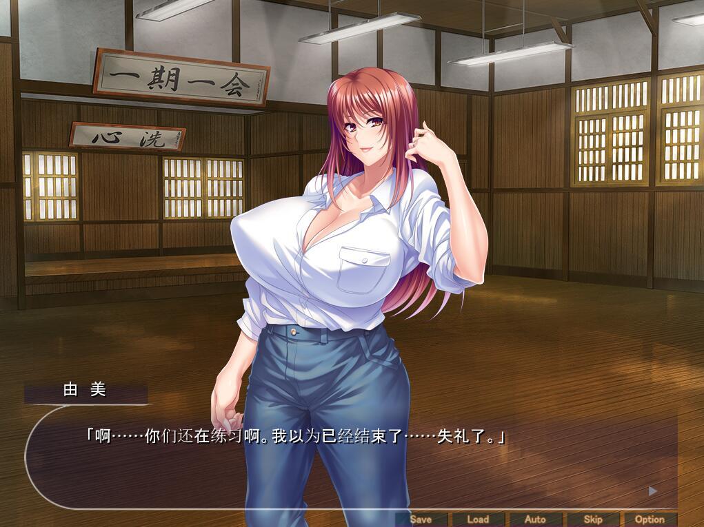 成熟肉感美少女战士和邪恶女干部成为我孕育的肉奴！|汉化版|+CV|全CG存档插图