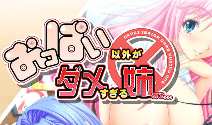 姐姐只有胸部大这一个特点|AI汉化|全CG存档|拔作ADV-萝莉森林