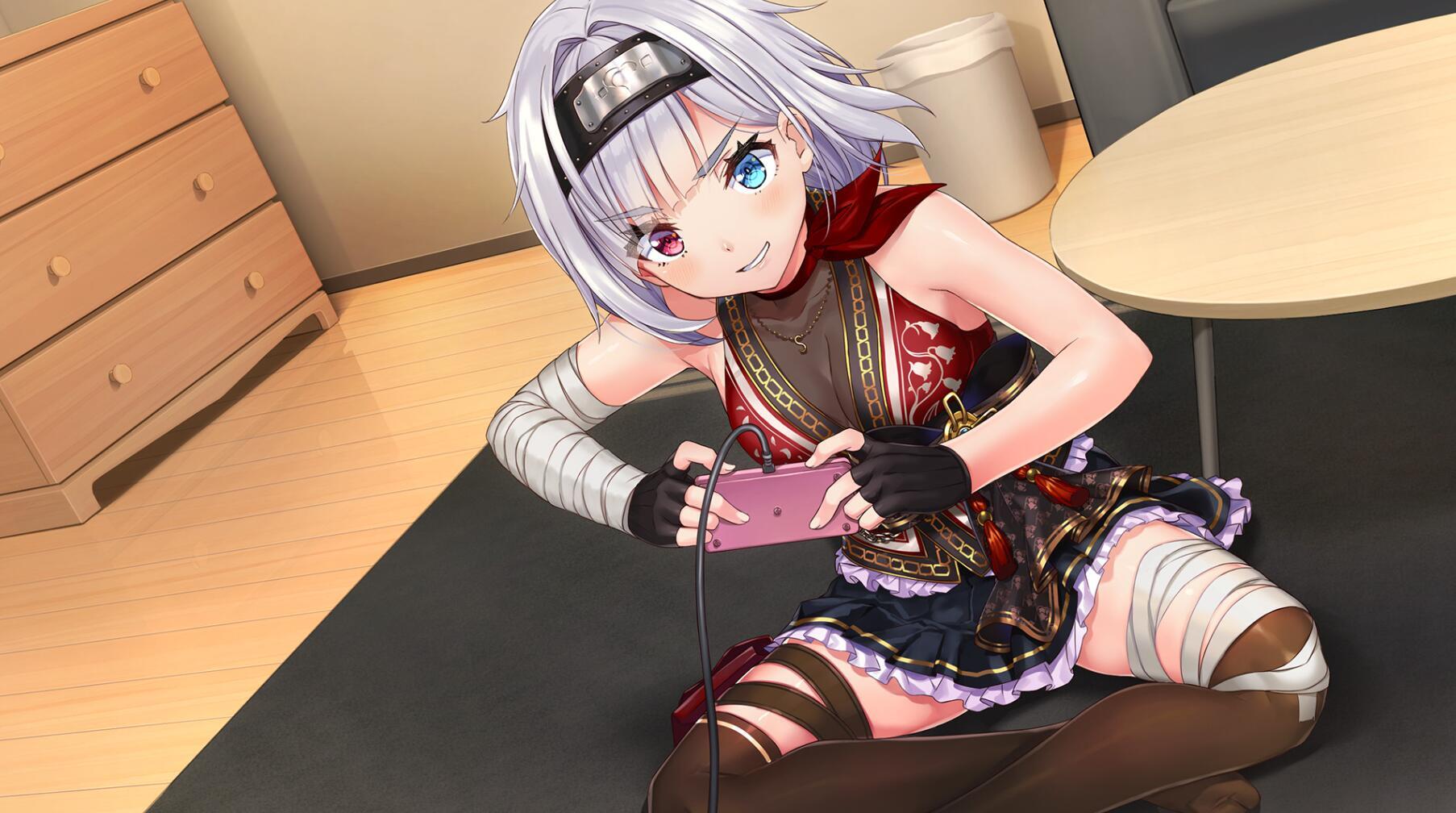 NinNinDays2|V1.0|STEAM官中